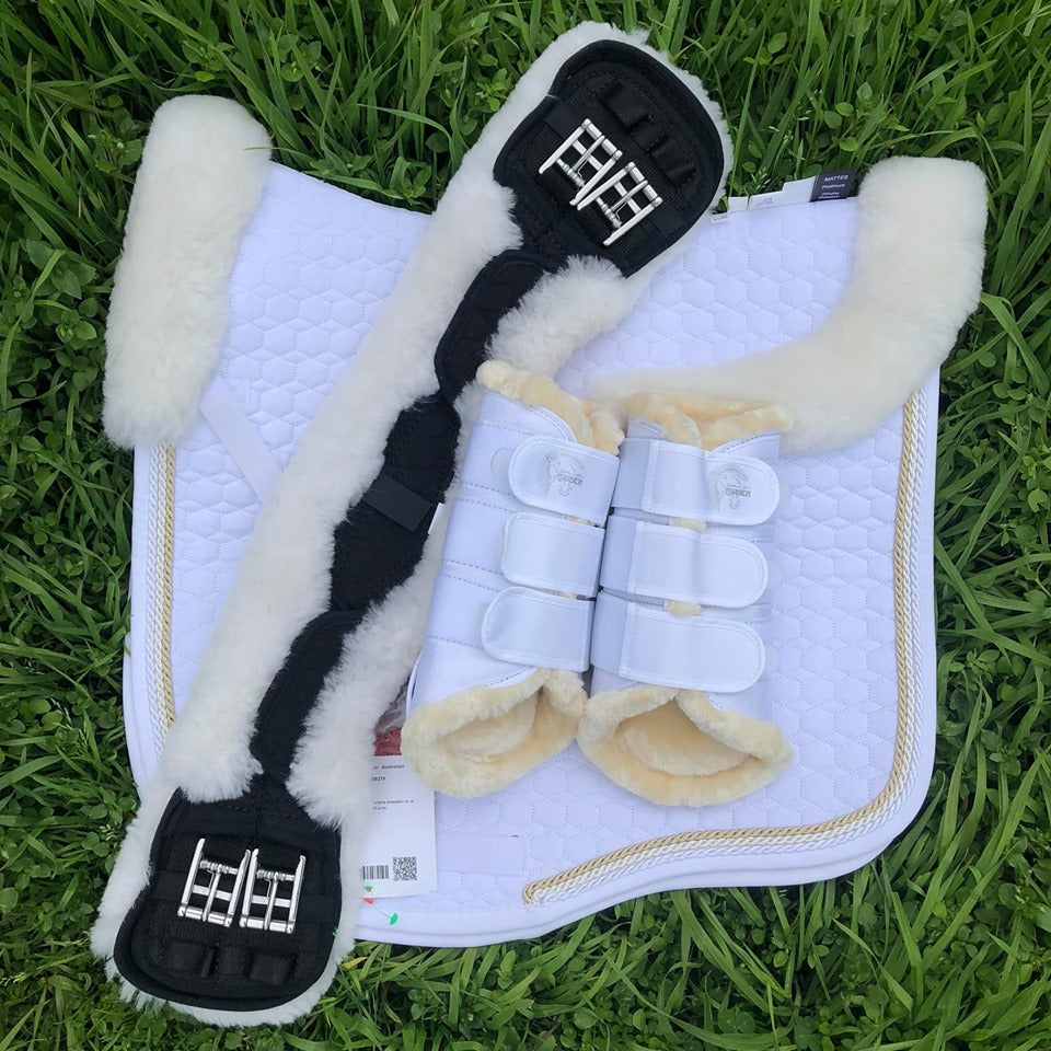 10 Top Dressage Tips
