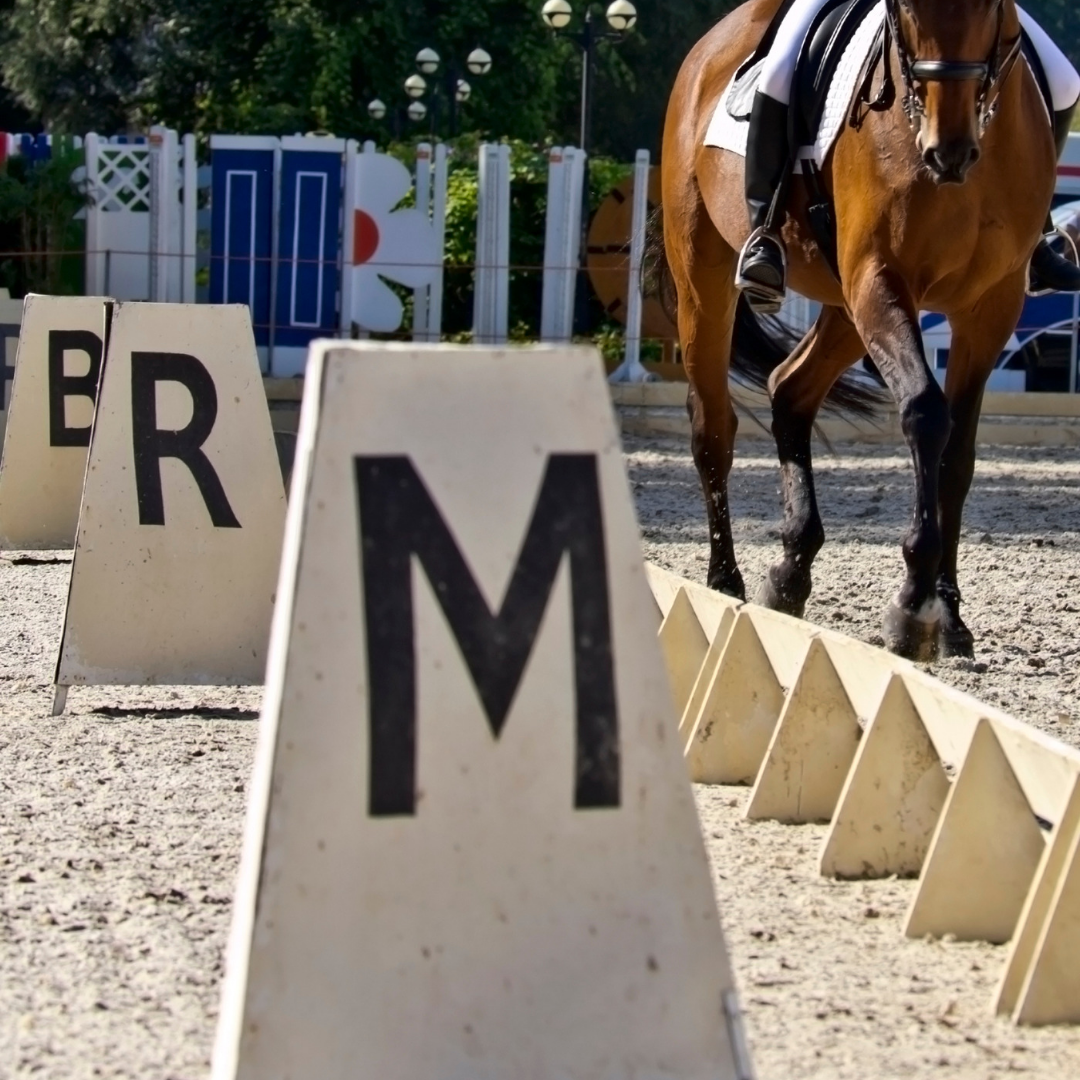 5 Top Tips To Improve Your Dressage Score