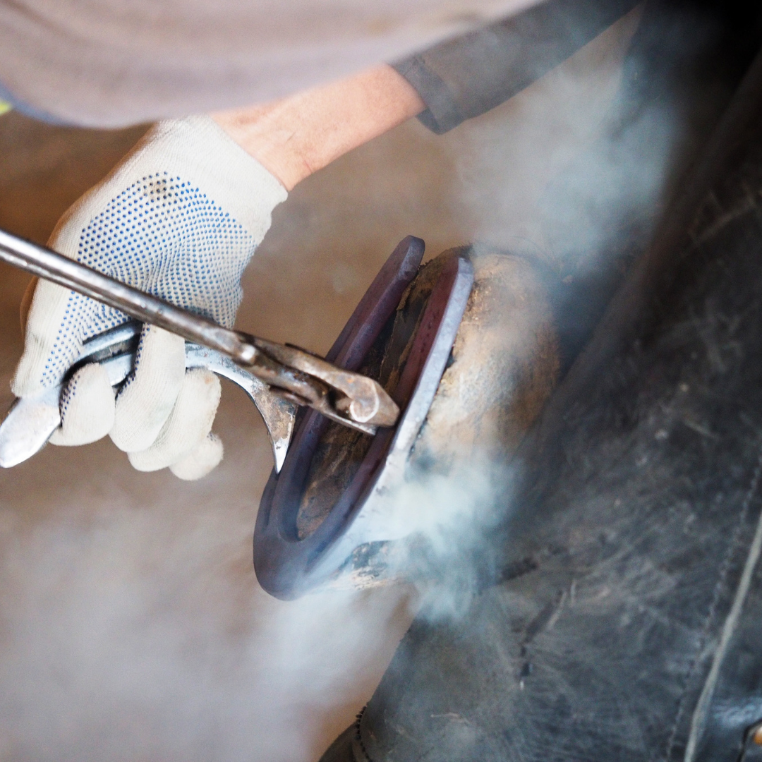 Top 5 tips to help your farrier & your horse!
