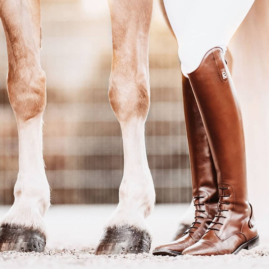 Cavallo - Cambridge tall boots